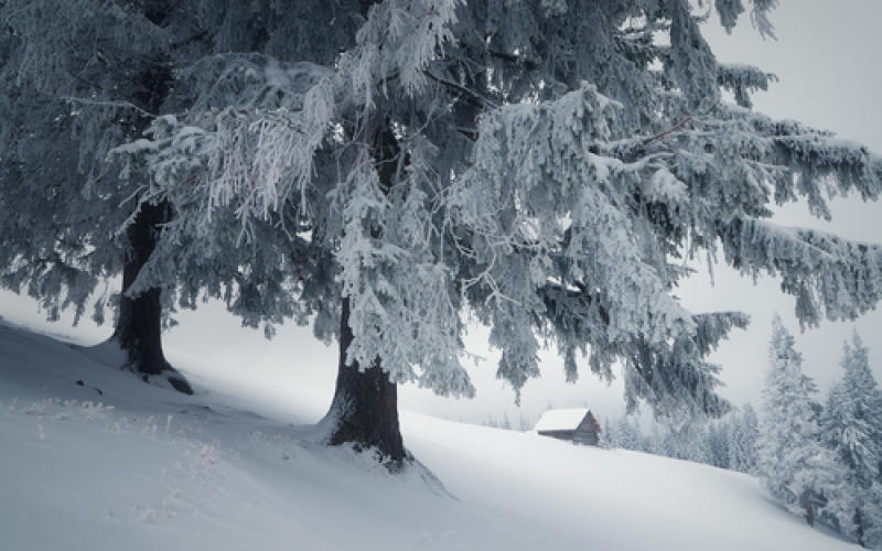 Vosges : un skieur recherché après une coulée de neige