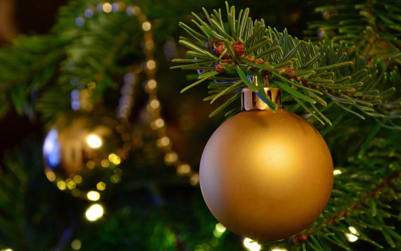 Vous pouvez acheter votre sapin de Noël à partir d'aujourd'hui !