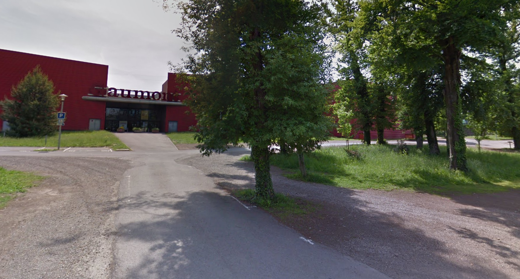 Amnéville : jeune femme tuée par un arbre, une information judiciaire pour « homicide involontaire » ouverte