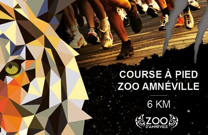 Amnéville : La "Run for tiger" vise le millier de participants