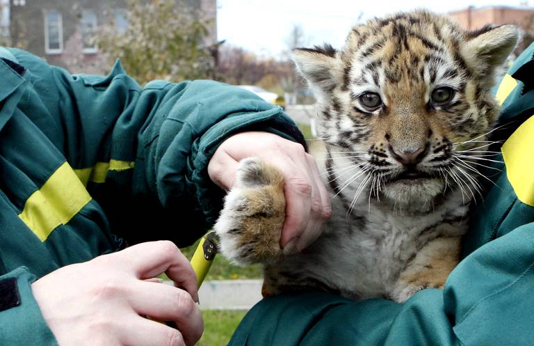 Colloque et partage d'expérience au zoo d'Amnéville