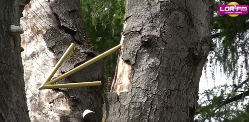 De l’art dans les jardins à Metz