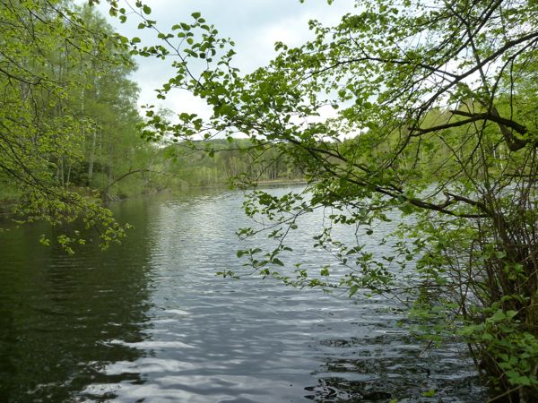 Deux pêcheurs disparus dans le pays de Sarrebourg