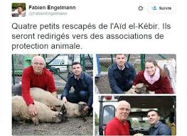 Fabien Engelmann, défenseur des animaux