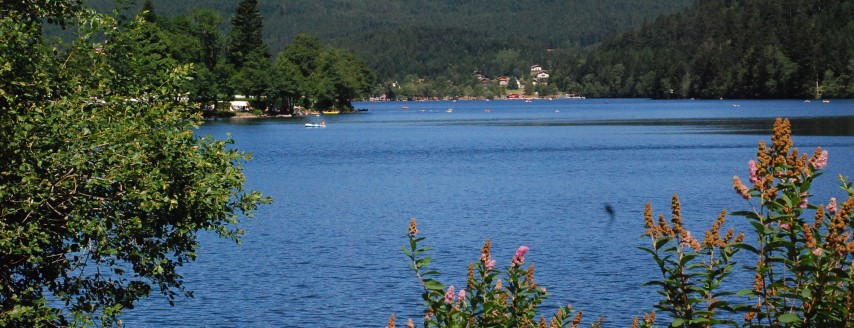 Gerardmer : il plonge dans le lac et ne remonte pas