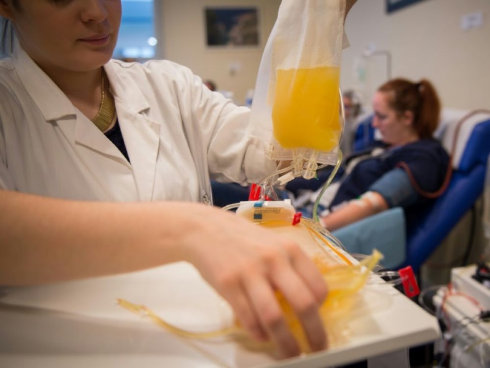 Grand-Est : démarrage de l’essai clinique "Coviplasm" visant à tester l’efficacité de la transfusion de plasma 