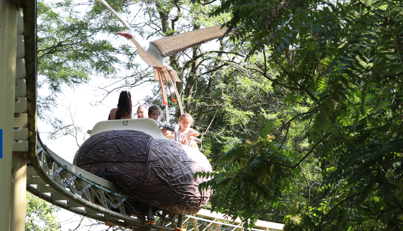 Grand Est : des visiteurs coincés à 5 mètres de haut dans un parc d'attractions