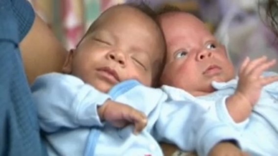 Ils naissent à trois semaines d'intervalle