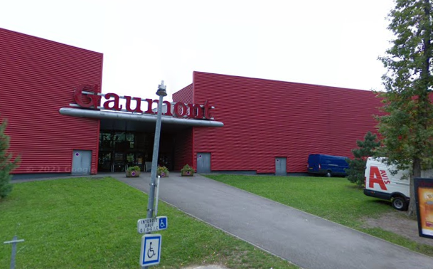 Jeune femme tuée par la chute d'un arbre à Amnéville : les parents portent plainte