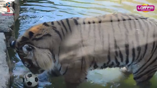 La Lorraine est Bleue ! Episode 2