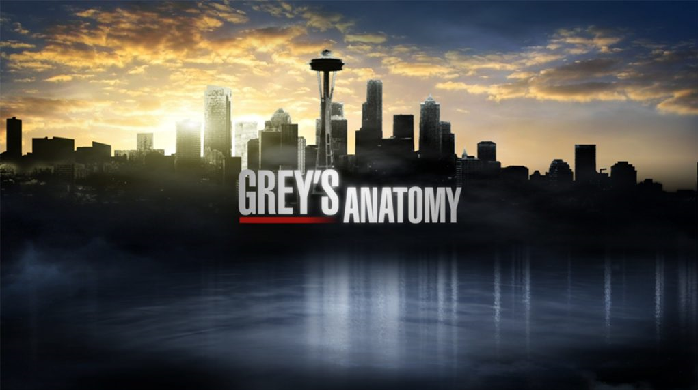 La suite de la saison 13 de "Grey's Anatomy" ne sera pas diffusée sur TF1