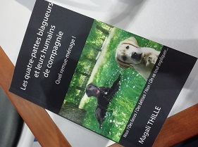 La vie des chiens guides vue de l'intérieur