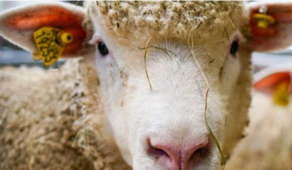 Le « Comptoir Qualité MOSL », à l'honneur au salon de l'agriculture