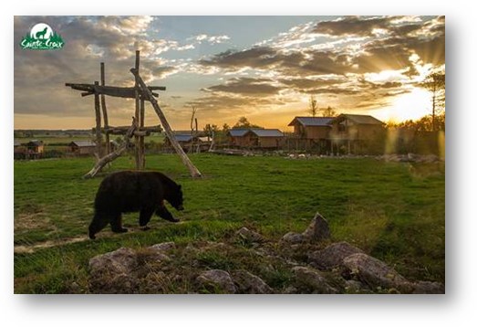 Le Parc de Sainte-Croix, encore élu « Zoo et Parc Animalier » préféré des Français 