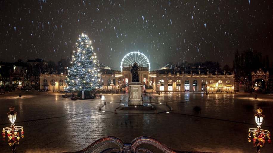 Le sapin de la place Stanislas de Nancy va s'offrir une nouvelle vie et devenir un produit minceur !