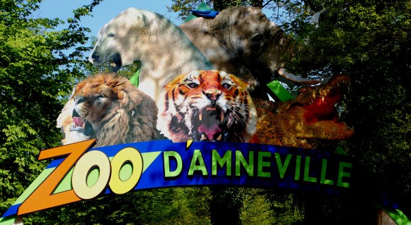 Le sort du zoo d'Amnéville sera scellé dans un mois