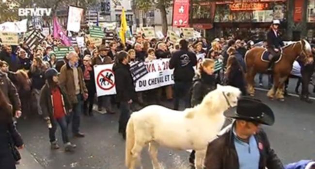 Les anti-équitaxe et écotaxe paralysent le trafic