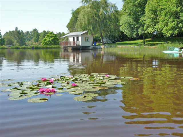 Les eaux de Moselle en proie aux bactéries