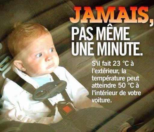 Luxembourg : un "radar" mis au point pour sauver des vies !