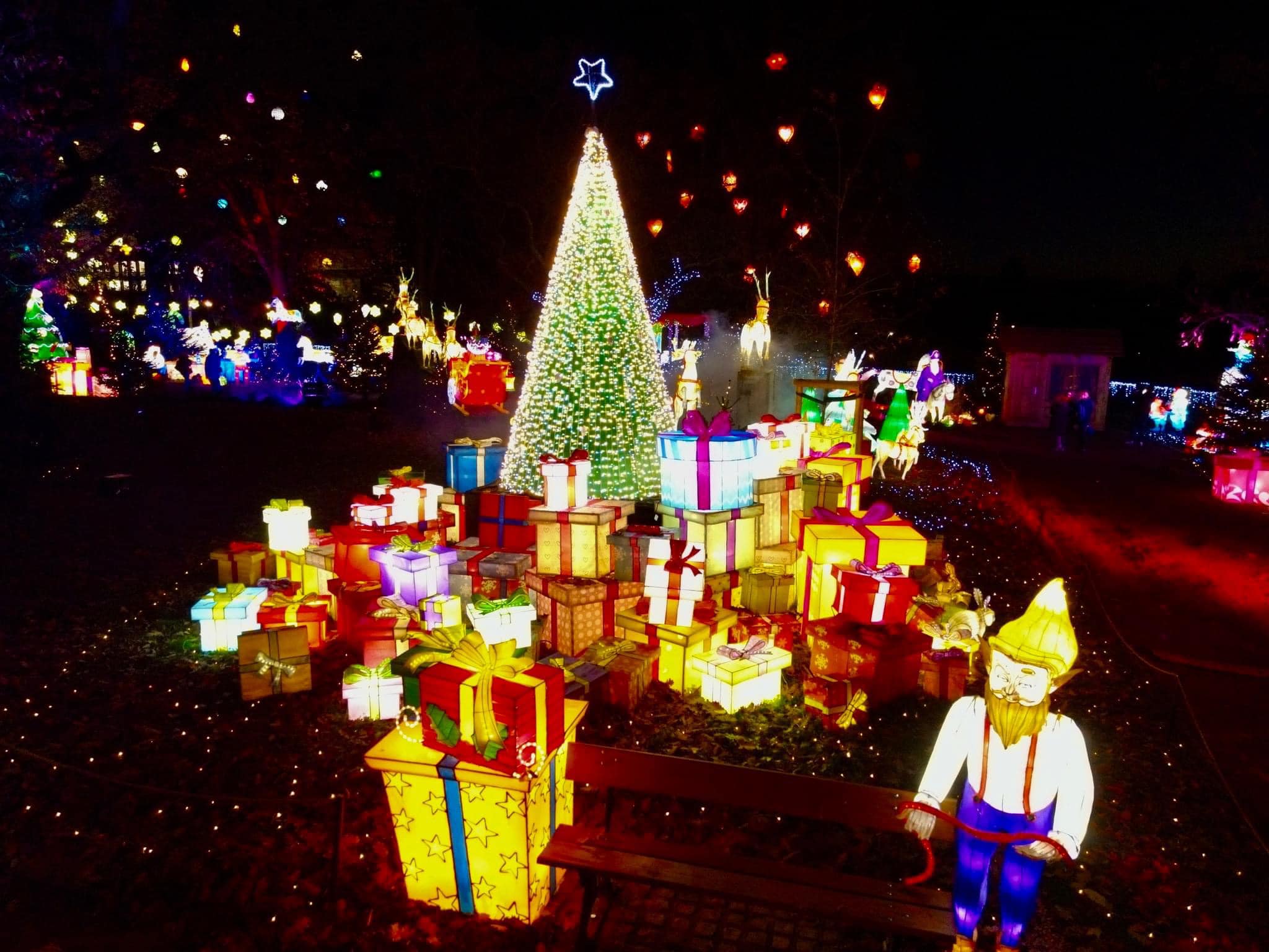 Metz : fréquentation record pour le Sentier des Lanternes !