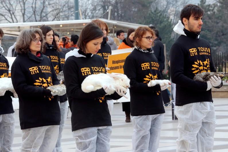 Metz : opération coup de poing des L214