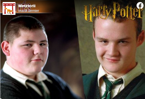 Metz'Torii 2020 : deux personnages de la saga Harry Potter au rendez-vous !