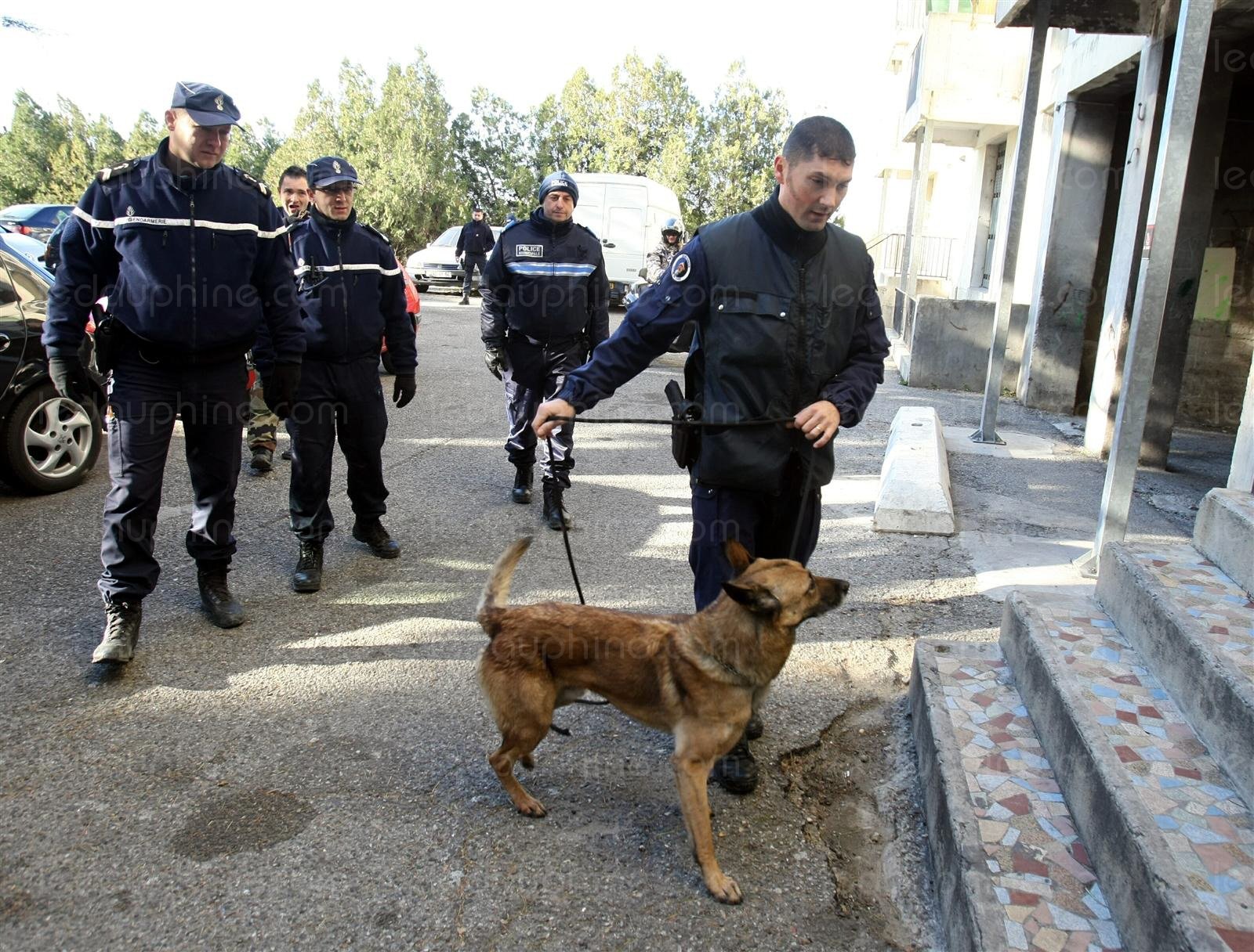 Moselle : coup de filet anti-drogue à Guénange