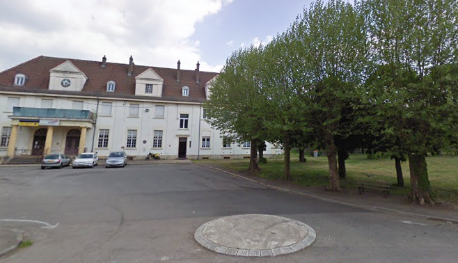 Moselle : une pétition explose sur le web pour sauver des arbres centenaires