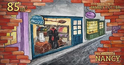 Nancy : l'échoppe magique, une boutique dédiée à 100% à Harry Potter
