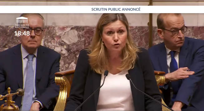 Retraites : les motions de censure rejetées, la réforme adoptée