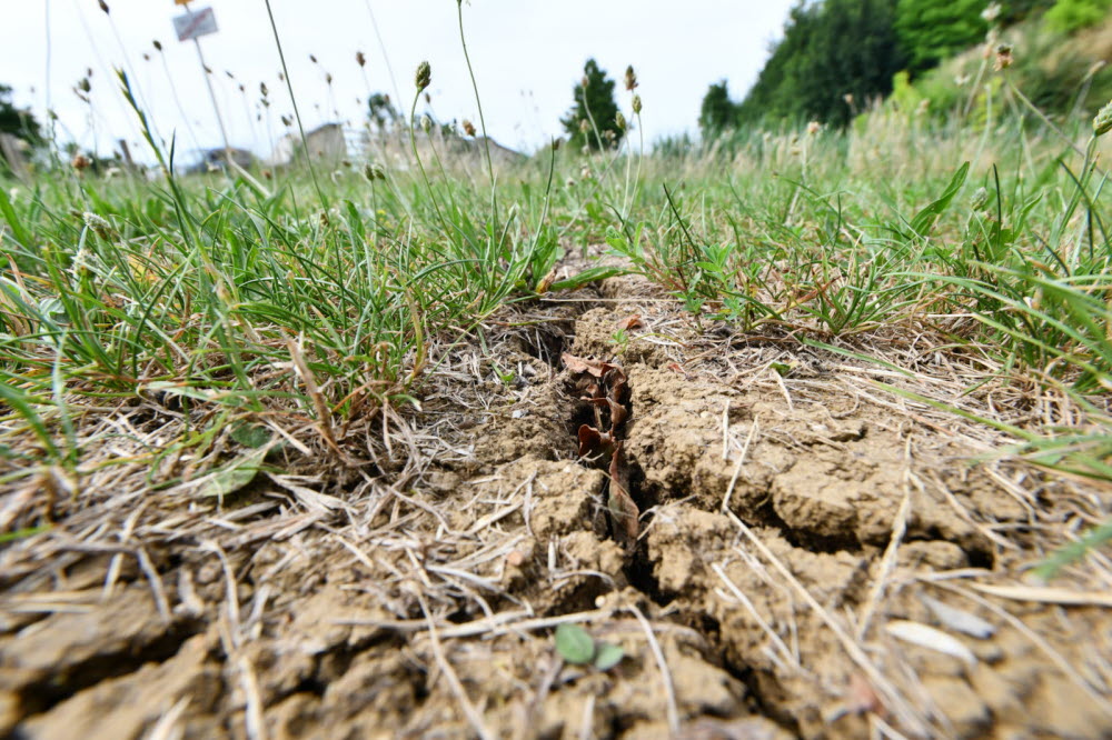 Sécheresse : le Département de la Moselle passe en alerte renforcée