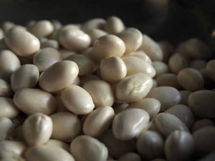 Trouvaille insolite dans des haricots blancs