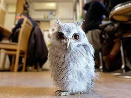 Un bar éphémère à Londres