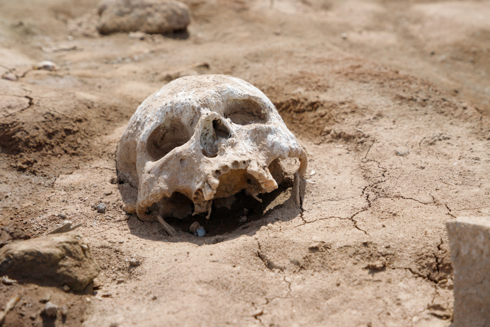 Un crâne retrouvé par un promeneur à Froidcul