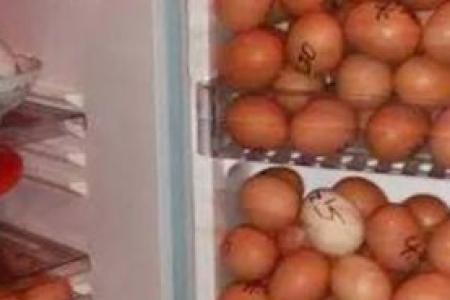 Un frigo rempli d'oeufs