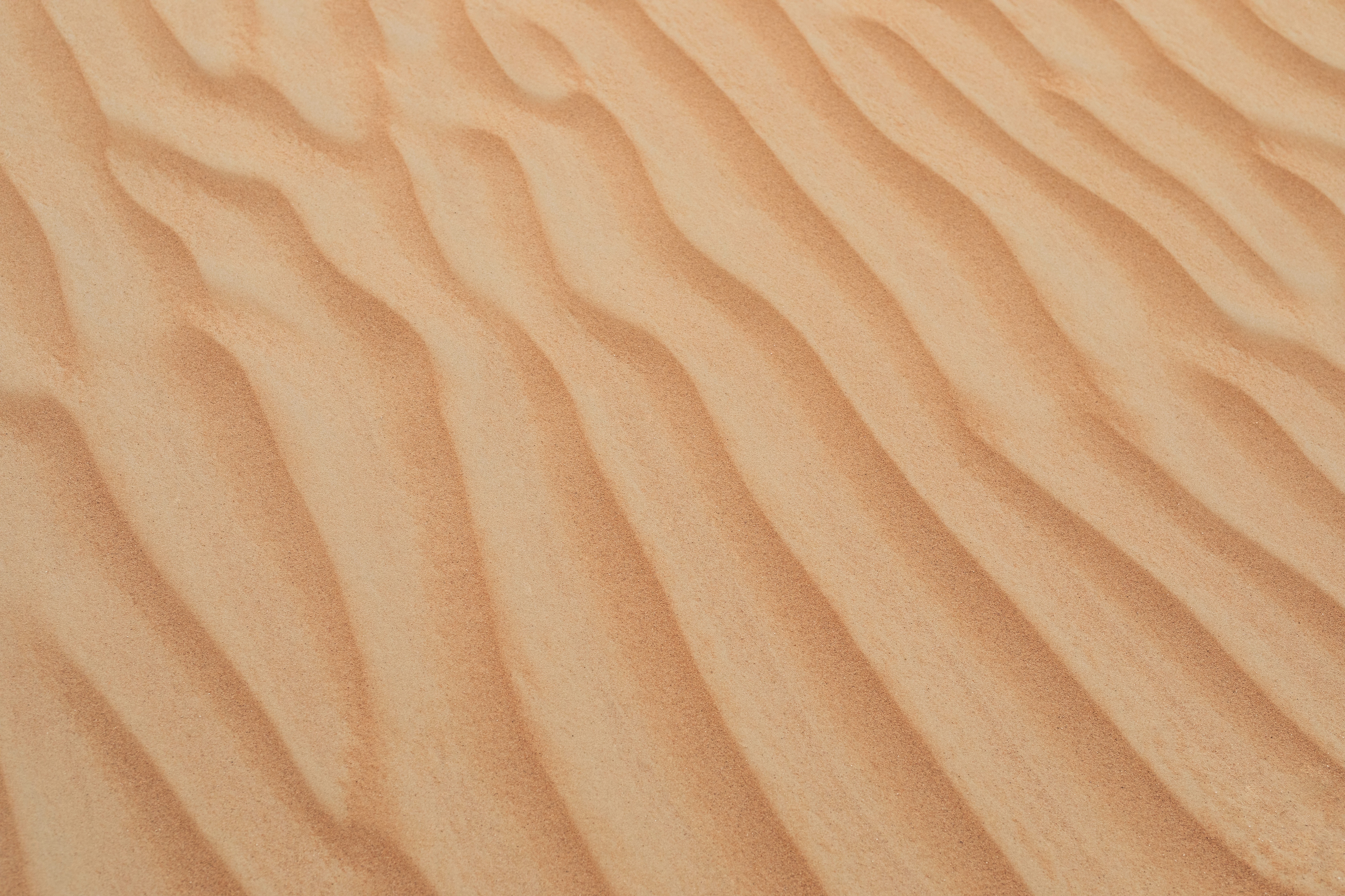 Un nouveau nuage de sable du Sahara va traverser la Lorraine