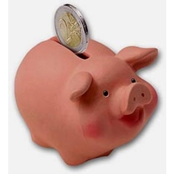 Un voleur se retrouve sur la toile en Meurthe et Moselle