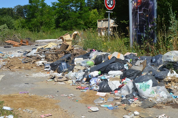 Une marche écolo pour nettoyer les rues d'Hayange