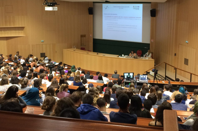 Université de Lorraine : un partiel sur le cas des Gilets jaunes