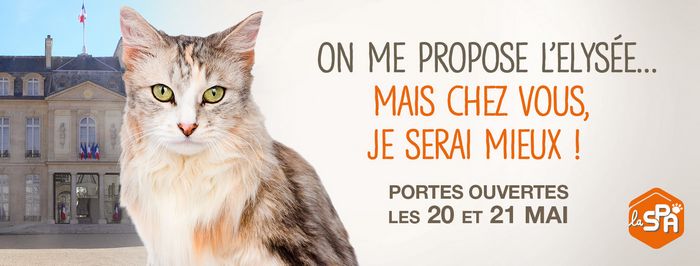 Venez adopter au refuge SPA de Thionville