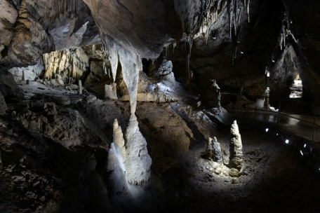 VIDEO  : Le Domaine des Grottes de Han  - tout ce qu’il faut pour s’éclater cet été !