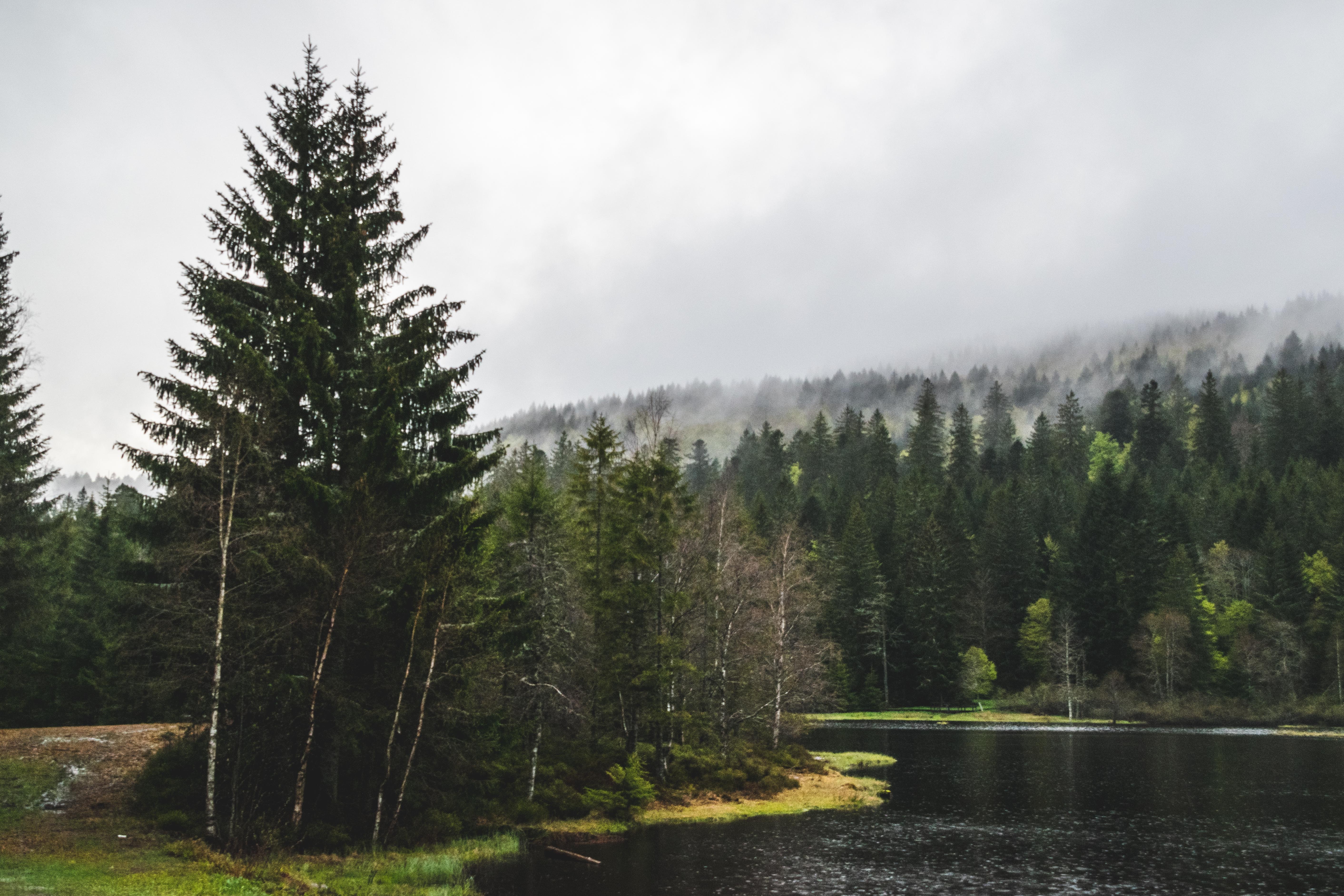 Vosges : Gérardmer et La Bresse se séparent