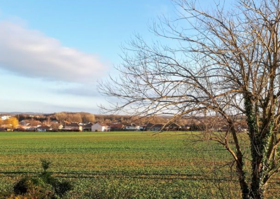 Yutz : Le projet de lotissement du « Domaine des Bois » annulé par la Justice