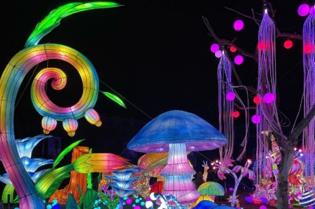 Zoo d'Amnéville : Luminescences vous attend pour un final inédit !